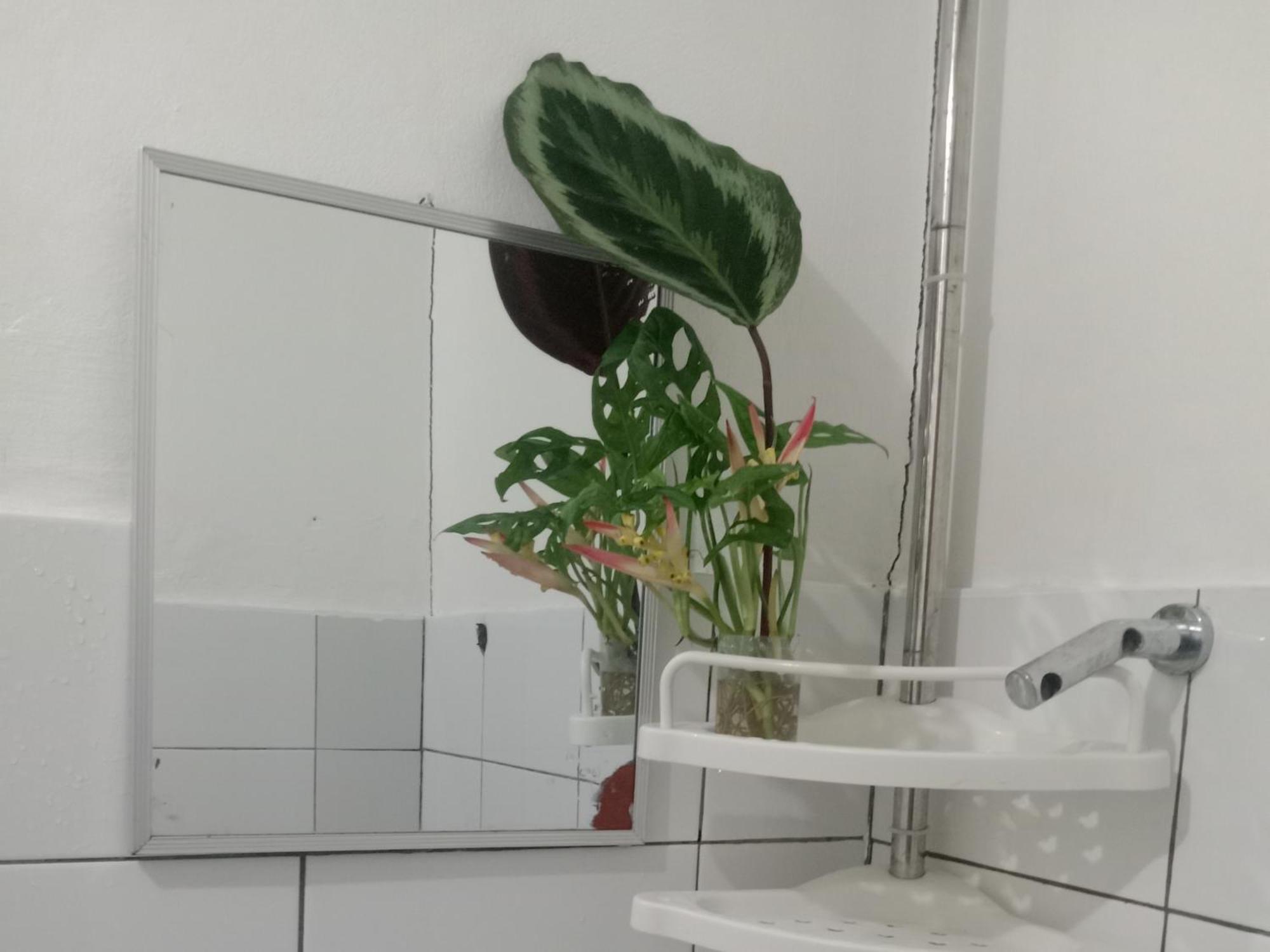 Vincent Lloyd'S Guestroom サン・ヴィチェンテ 部屋 写真